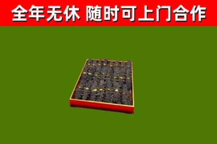 綦江回收海参